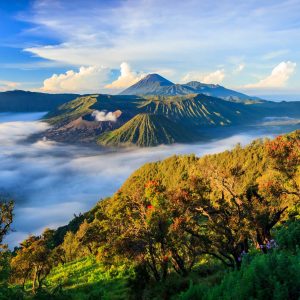 Bromo volcano at sunrise,Tengger Semeru National Park, East Java, Indonesia